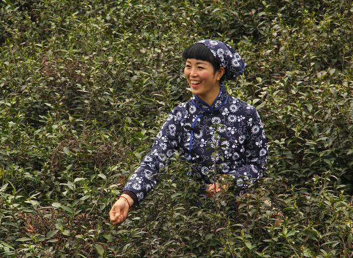 舂梦推荐4